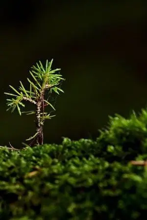 ปกนิยาย ข้ามเวลามาทำอะไรว้ะครับบ!