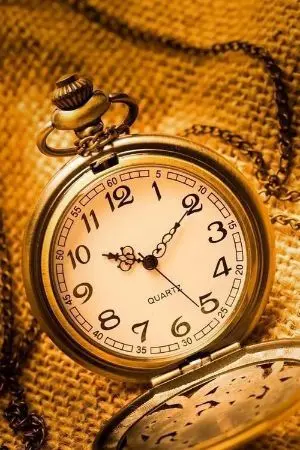 ปกนิยาย [ Twisted Wonderland ] กระต่ายขาว