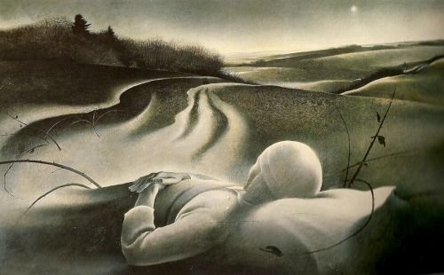 Photo Credit: Dmtquest.org