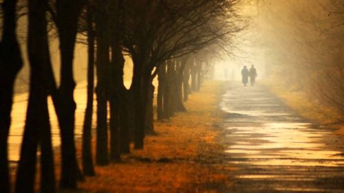 Photo Credit:  Thesearchforlifeafterdeath.com