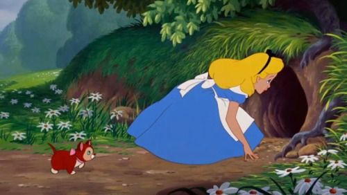 Photo Credit: Bookstr.com