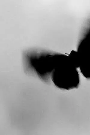 ปกนิยาย Your Soul