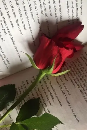 ปกนิยาย rose of the gods