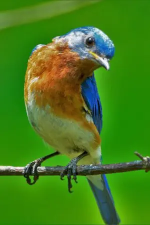 ปกนิยาย เมื่อข้าได้ทะลุเข้าไปในนิยาย!!!