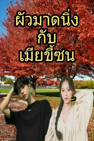 ปกนิยาย