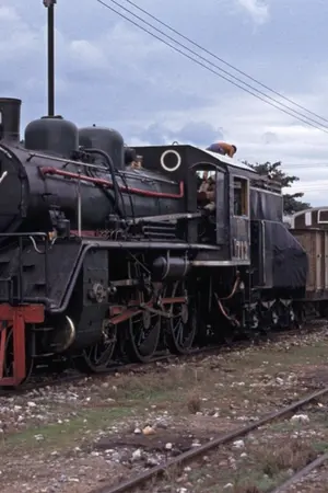 ปกนิยาย ทางรถไฟสายป่าพิศวง