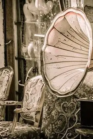 ปกนิยาย เจ้าหญิงแผ่นเสียง