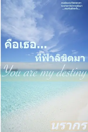 ปกนิยาย