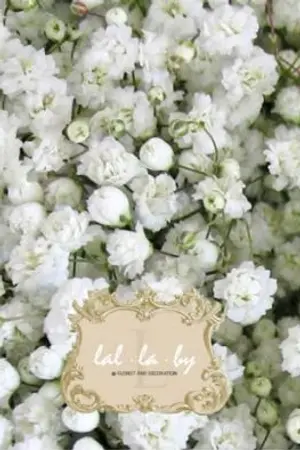 ปกนิยาย ดอกไม้ที่สื่อถึงคำว่ารักนิรันดร์