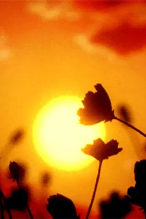 ปกนิยาย test theme no fiction (for PC)