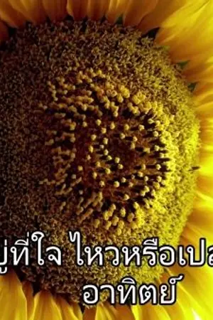 ปกนิยาย อยู่ที่ใจ...ไหวหรือเปล่า