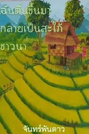 ปกนิยาย