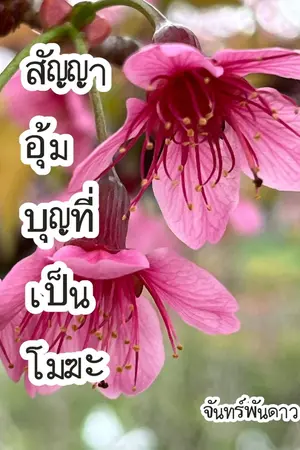 ปกนิยาย สัญญาอุ้มบุญที่เป็นโมฆะ