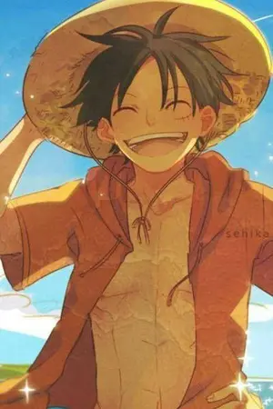 ปกนิยาย [all luffy] บันทึกรักของราชาโจรสลัด