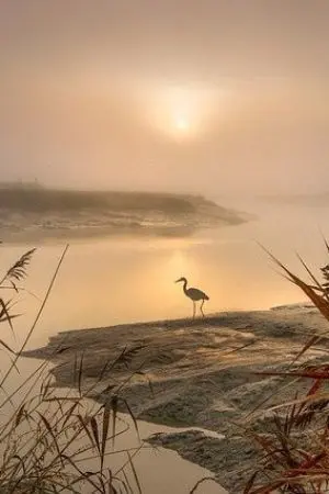 ปกนิยาย 今思ปัจจุบันที่คนึงหา