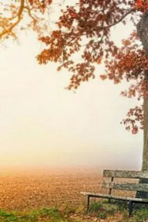 ปกนิยาย ระบบเทพพระเจ้าตกสวรรค์