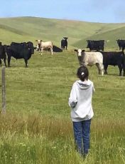 ปกนิยาย Shot Fic Harry Potter X Reader