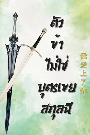 ปกนิยาย ตัวข้าไม่ใช่บุตรเขยสกุลฉี