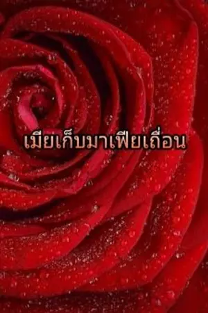 ปกนิยาย เมียเก็บมาเฟียเถื่อน