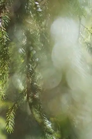 ปกนิยาย จุดสีเขียว