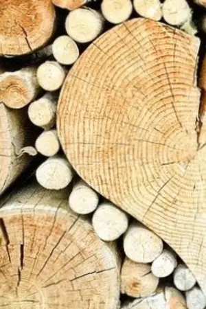 ปกนิยาย เรา....