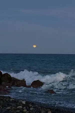 ปกนิยาย The night we met| Fic Harry potter