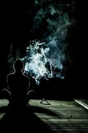 ปกนิยาย My way  ทางของฉัน  ฝันของเธอ