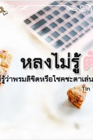 ปกนิยาย - หลงไม่รู้ตัว -