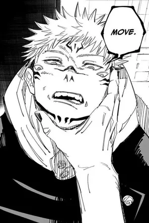 ปกนิยาย 『 BNHA x JUJUTSU KAISEN 』— king of curses