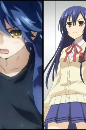 ปกนิยาย ทาคามิยะ ชิโอริ