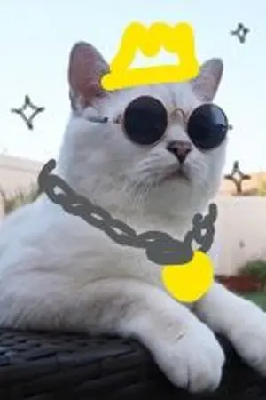 ปกนิยาย ก็แมวตัวนี้มันเทพอ่ะค่ะ🐾 [YAOI] 僕の小さなケ