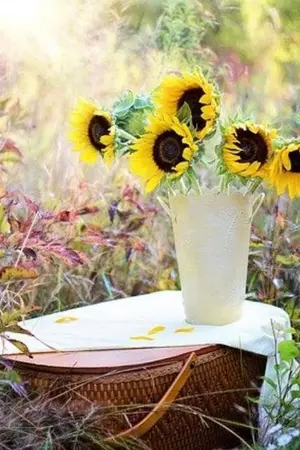 ปกนิยาย ยอดดอย