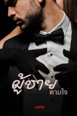 ปกนิยาย ผู้ชายดามใจ