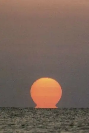 ปกนิยาย if nothing lasts forever will you be my nothing