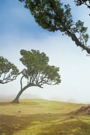 ปกนิยาย ย้อนอดีตรัก