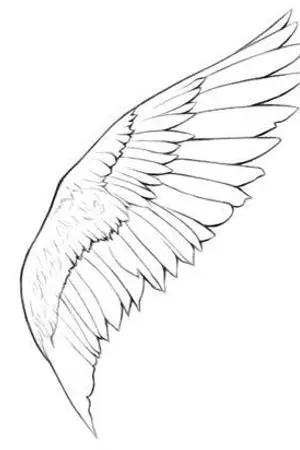 ปกนิยาย [One piece  x kimetsu no yaiba]คราวนี้ขอเป็นคนดี