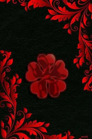 ปกนิยาย เมื่อพวกบ้า ไปซ่าที่ต่างโลก||black Clover