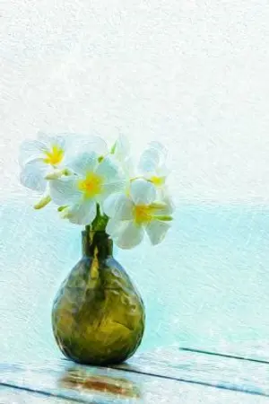 ปกนิยาย คืนเหงาของคนแพ้ (จอมxกล้า.. ไฟพ่ายรัก)