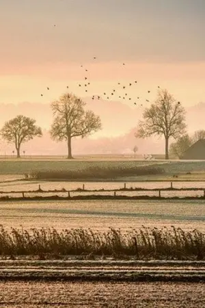 ปกนิยาย ONLT YOU แค่มึงเท่านั้น...