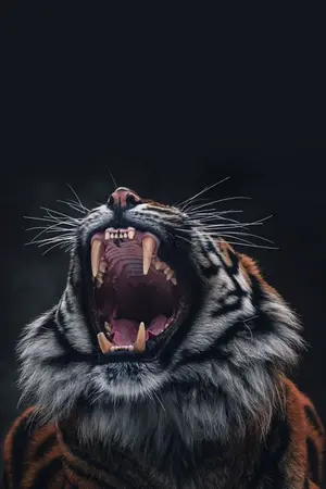 ปกนิยาย RE : (รามเกียรติ์) นางพยัคฆ์