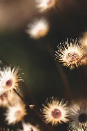 ปกนิยาย คอมมูนที่รัก(จบ)