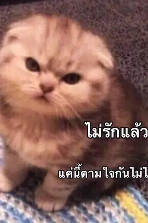 ปกนิยาย [VTuber] The moon never goes out