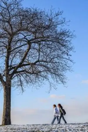 ปกนิยาย ชีวิตที่ไม่ต้องการ