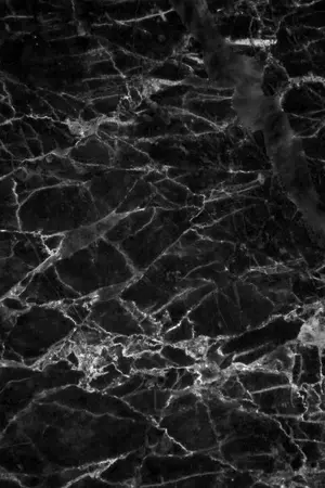 ปกนิยาย THE SECRET OF THE CURSE.[YAOI/BL]