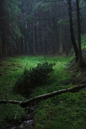 ปกนิยาย ชีวิตฟล็ุกๆ ของคนชื่อฟลุ็กในโลกแฟนตาซี