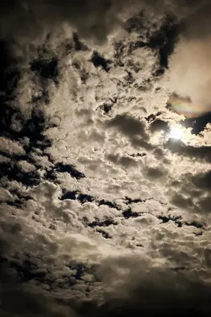 ปกนิยาย just one night คืนสุดท้ายก่อนบายเธอ