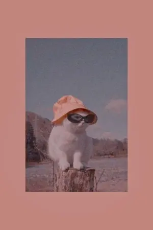 ปกนิยาย May-Be ที่แปลว่าใช่