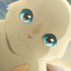 ปกนิยาย [Fic Mashle: Magic and Muscle] : Me and the cat | Oc