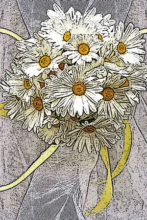 ปกนิยาย Spring Love - รักผลิใบ