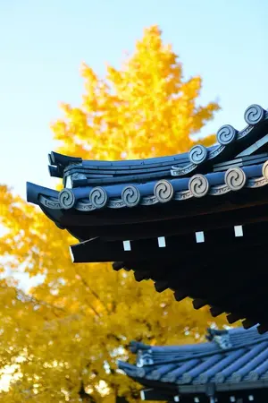 ปกนิยาย ข้านี่แหละองค์ชายรองหวังเจียวจิน